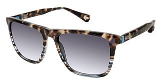 ROBERT GRAHAM KOSMOS